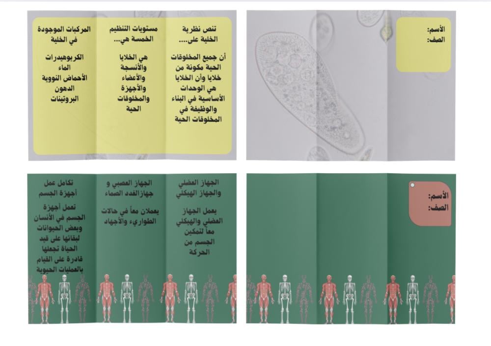 مطويات علوم سادس ابتدائي