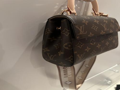 LV mini cluny Bag