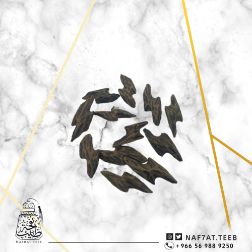 كمبودي تايقر