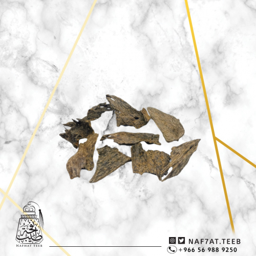 عود سيلاني غابة آدمز