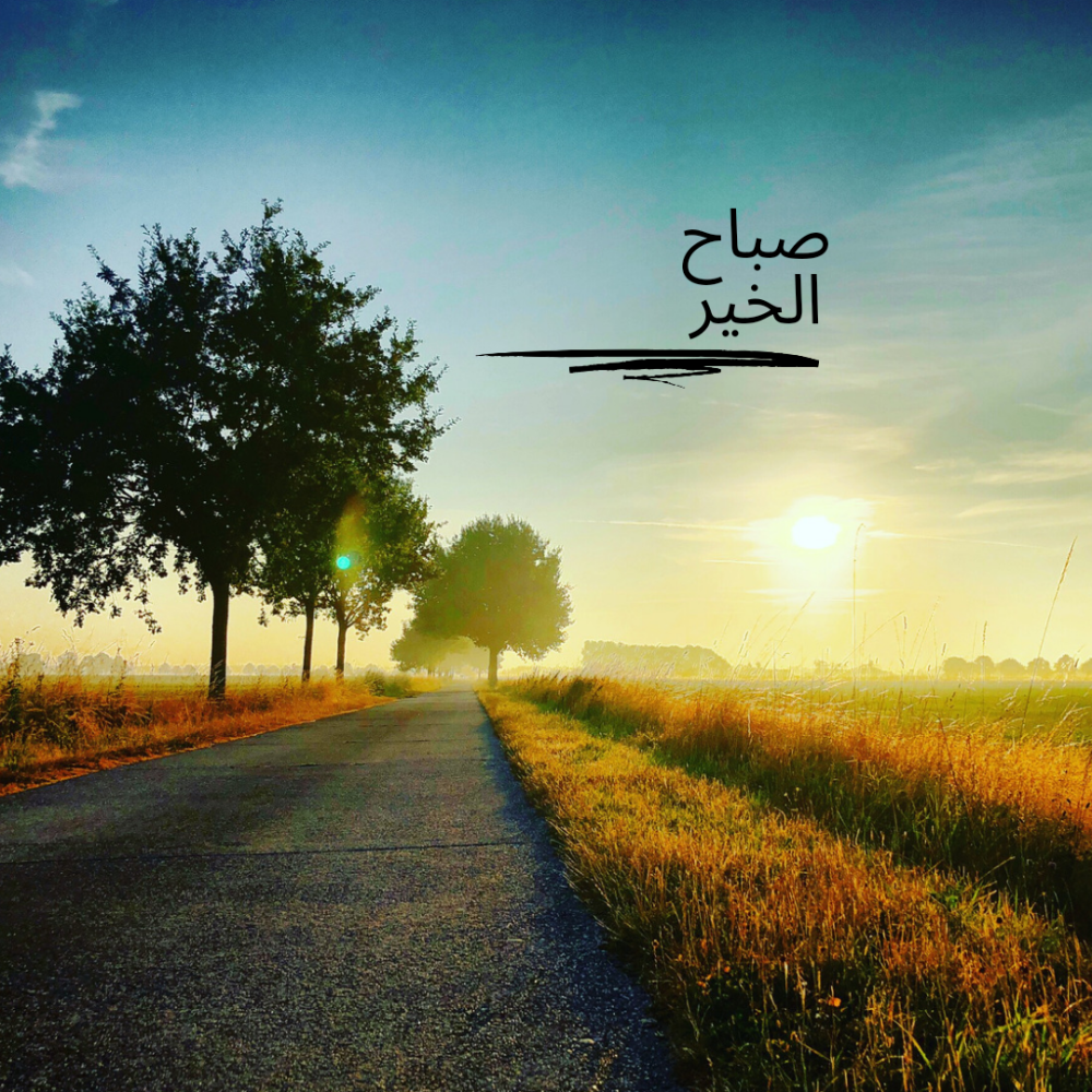 كيف تصمم روتين صباحي يدعم صحتك النفسية والجسدية؟