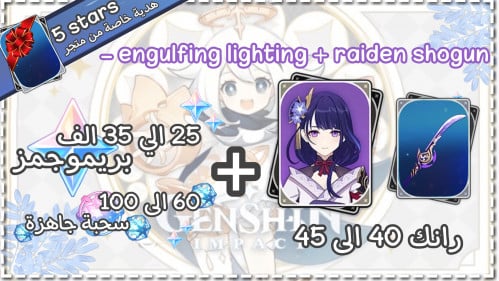 رايدن شوقن + سلاحها + بريمو و ويشز