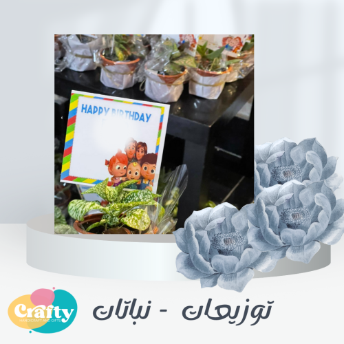 توزيعات نباتات مع ثيم خاص