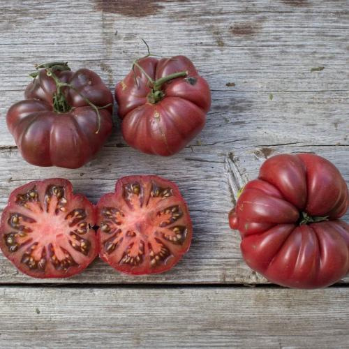 بذور طماطم Purple Calabash كالاباش الأرجوانية مورو...