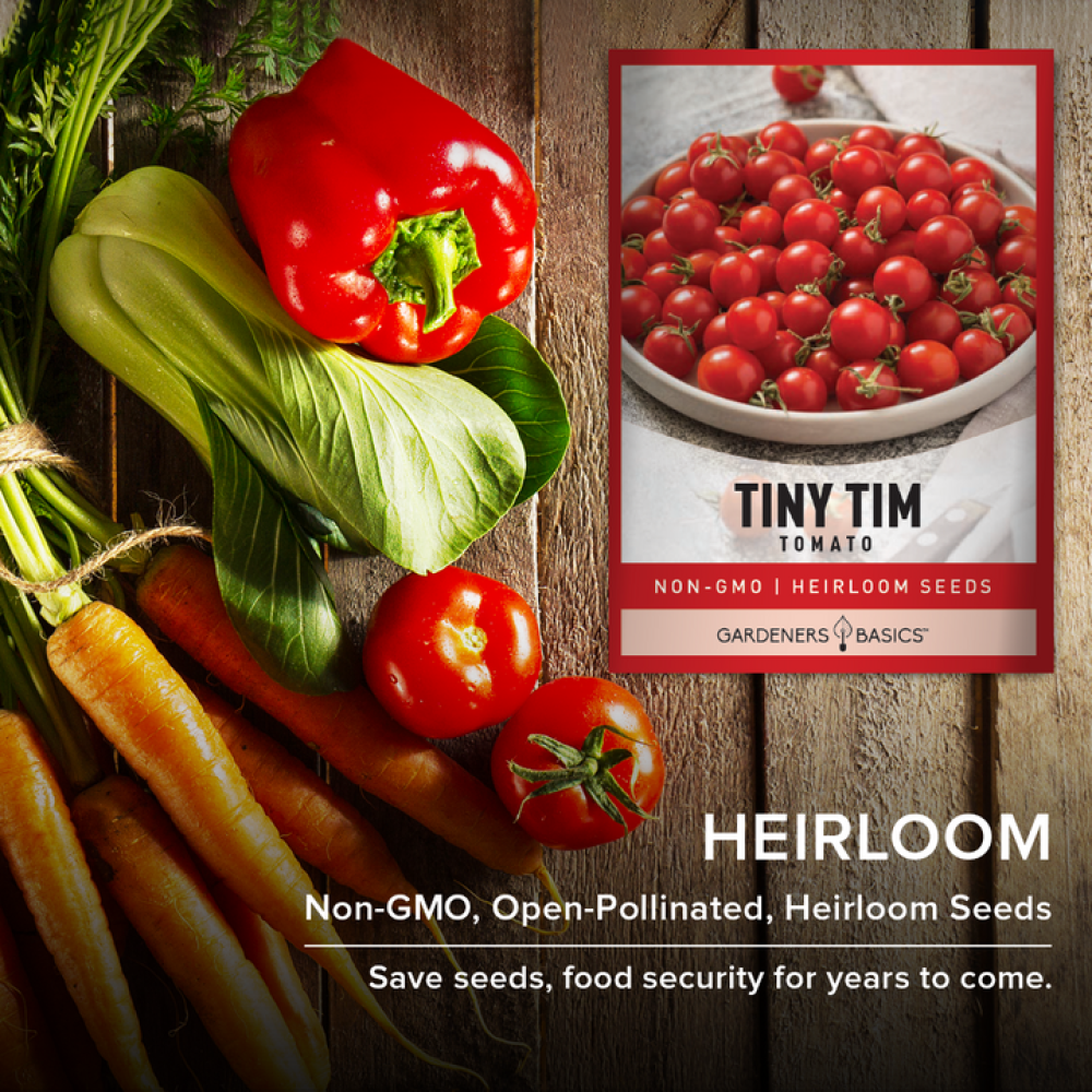 بذور طماطم كرزية تيني تيم