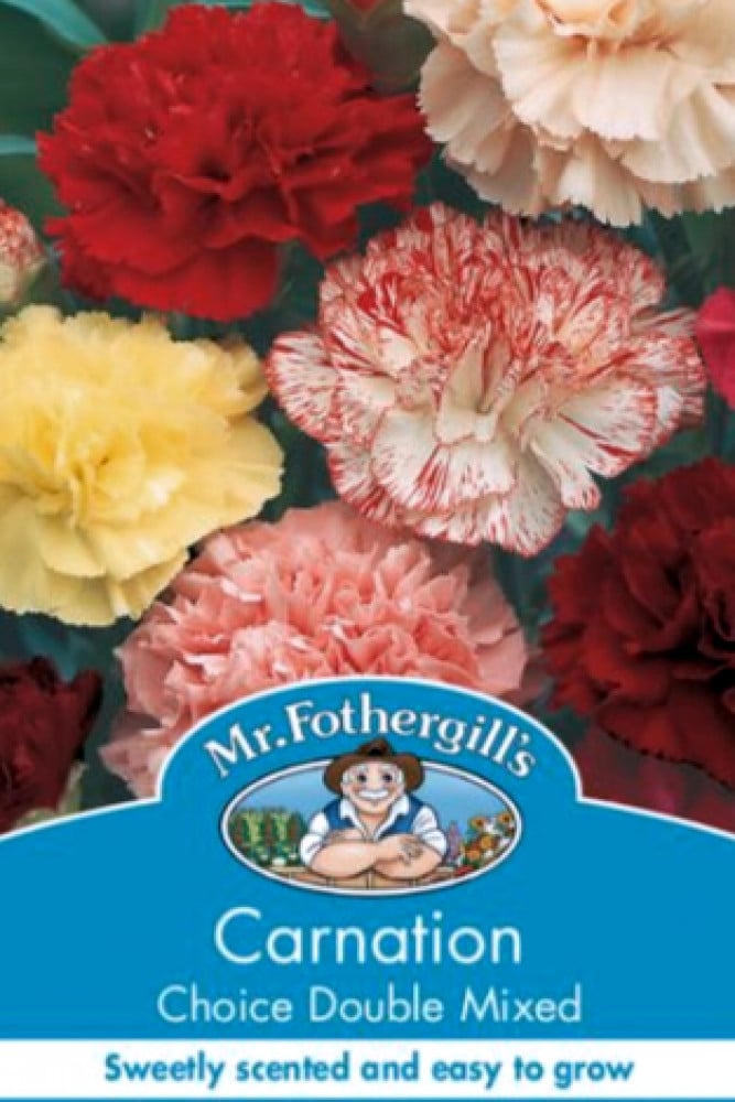 بذور خليط زهرة القرنفل