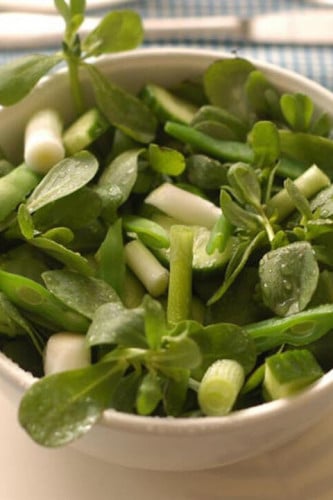 بذور الرجلة المصرية ( البقلة)