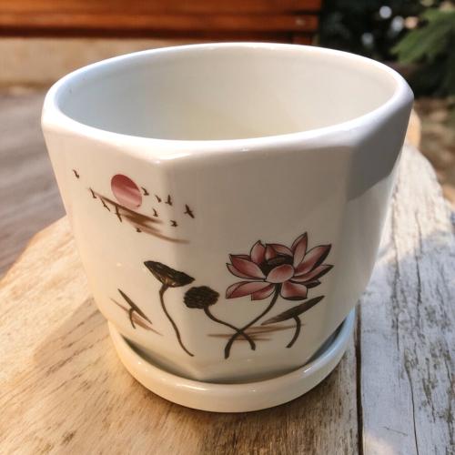 وعاء نباتات داخلية سيراميك