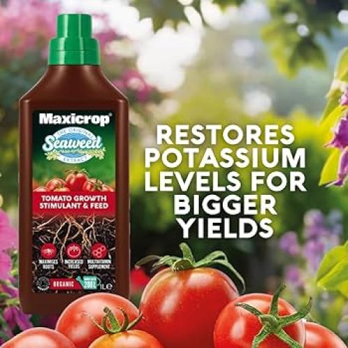 سماد عضوي طحالب بحرية سائل Maxicrop البريطاني