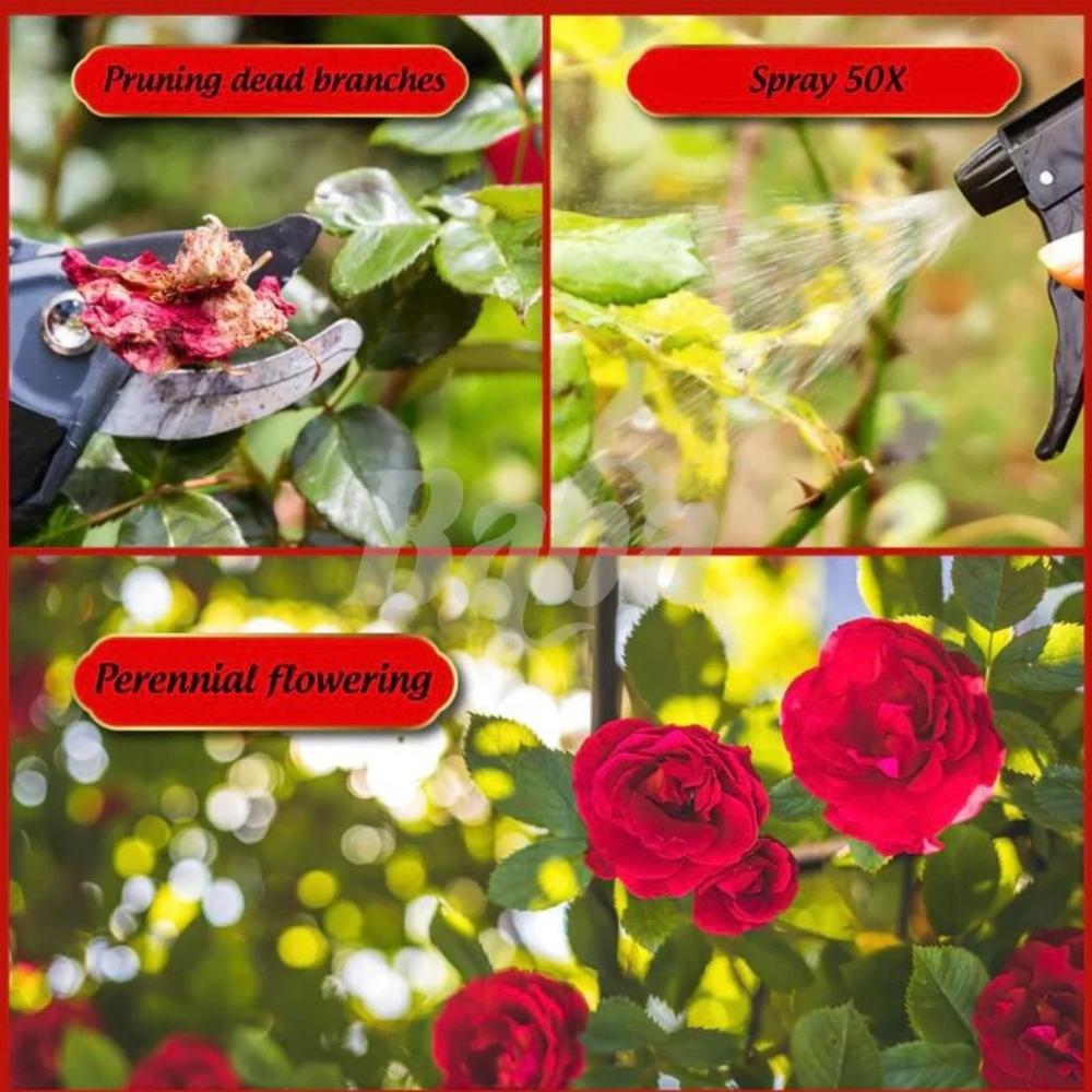 سماد عضوي للإزهار و الإثمار  mr ganick