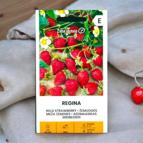 بذور فراولة Regina