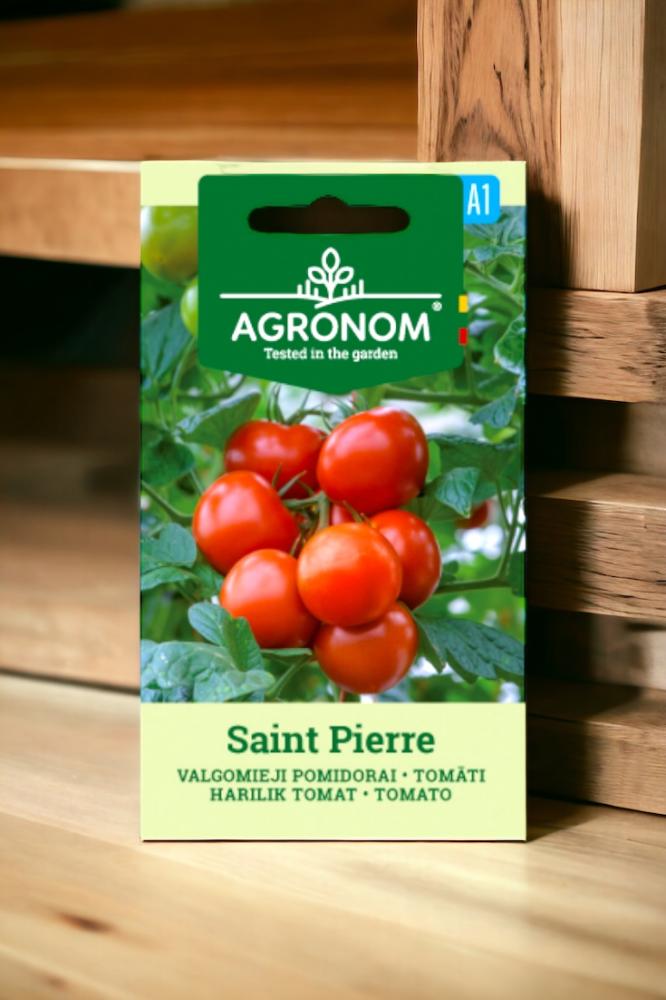 بذور طماطم سانت بيير