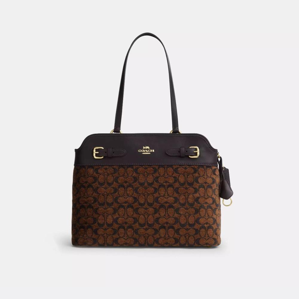حقيبة COACH