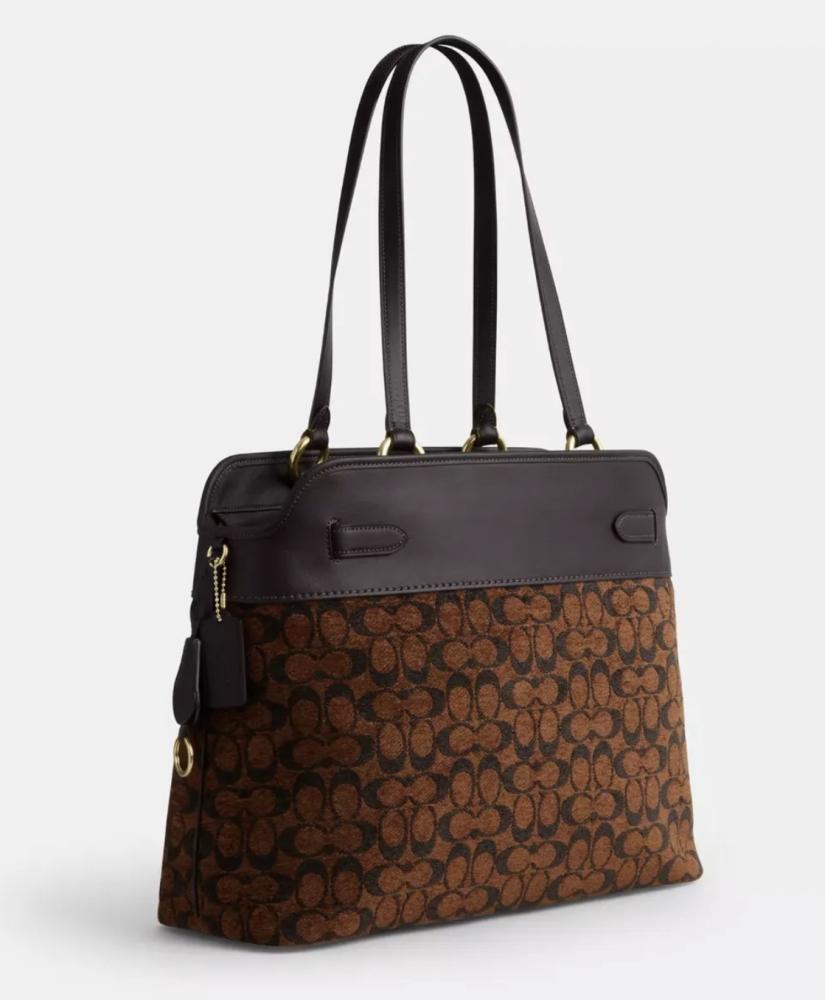 حقيبة COACH