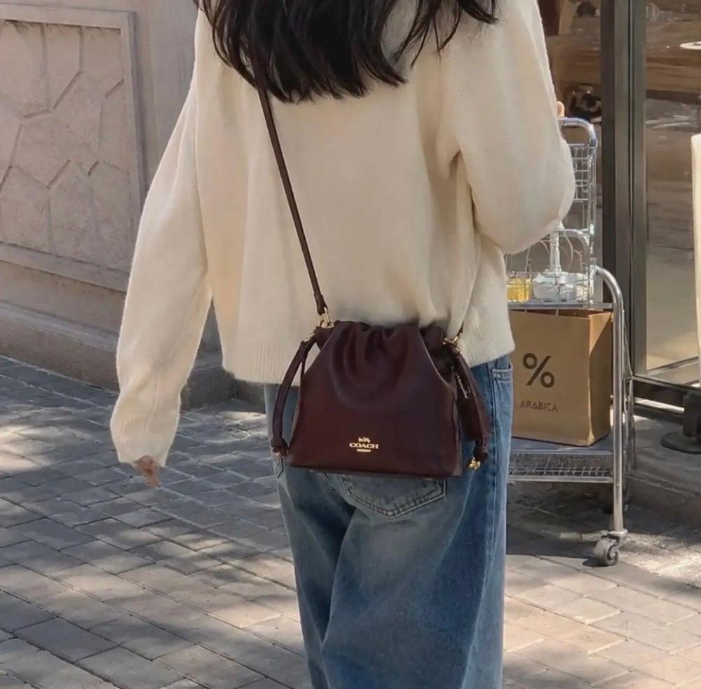 حقيبة COACH