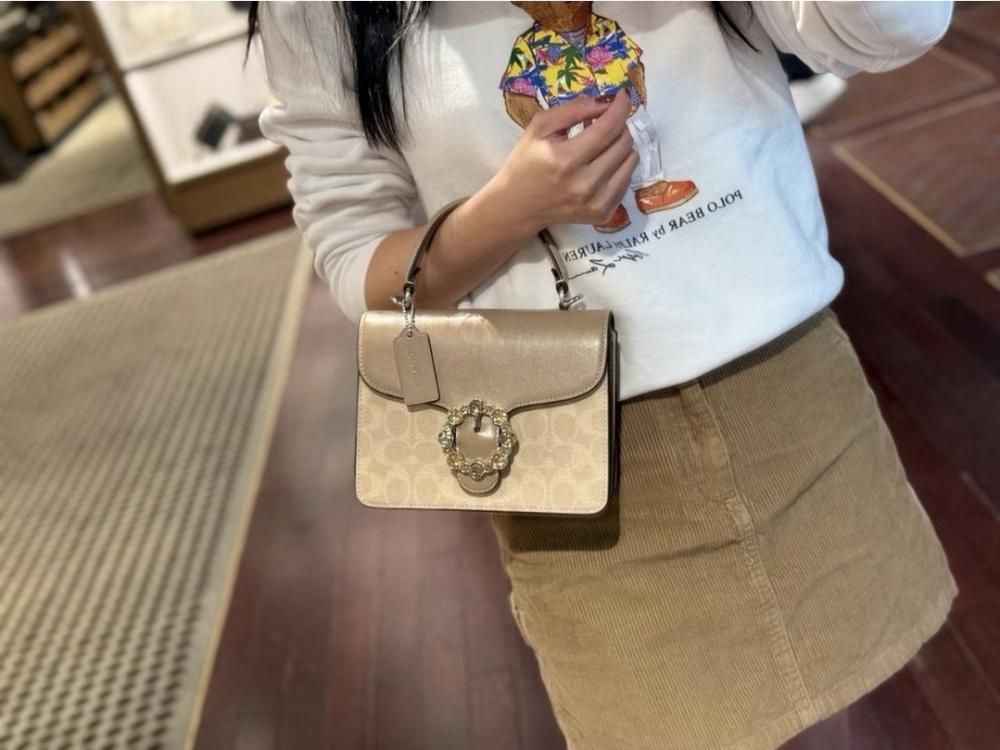 حقيبة COACH