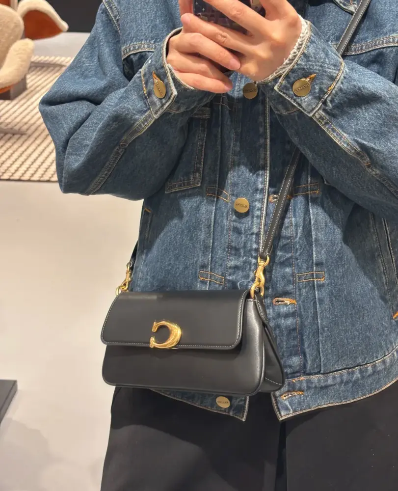 حقيبة COACH