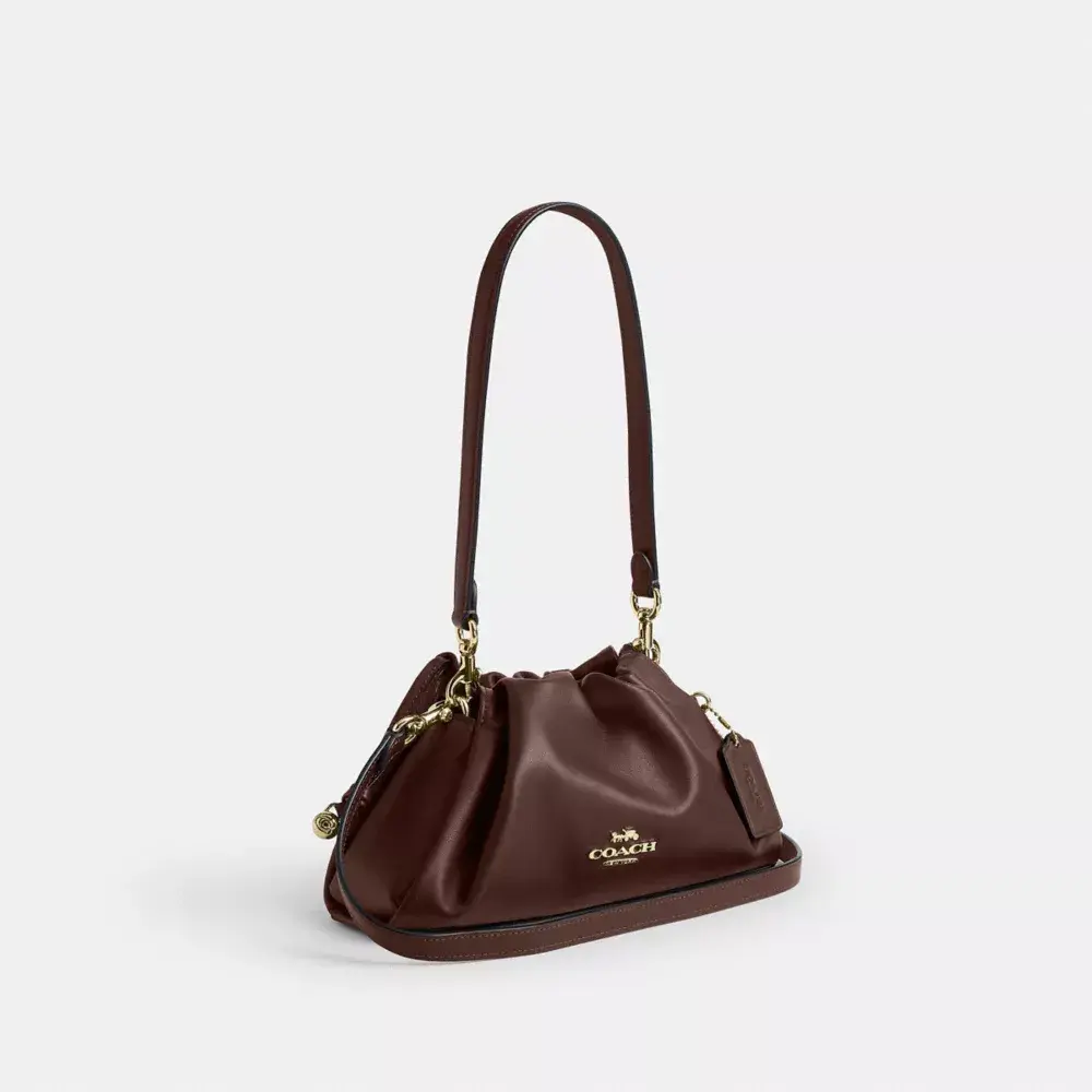 حقيبة COACH