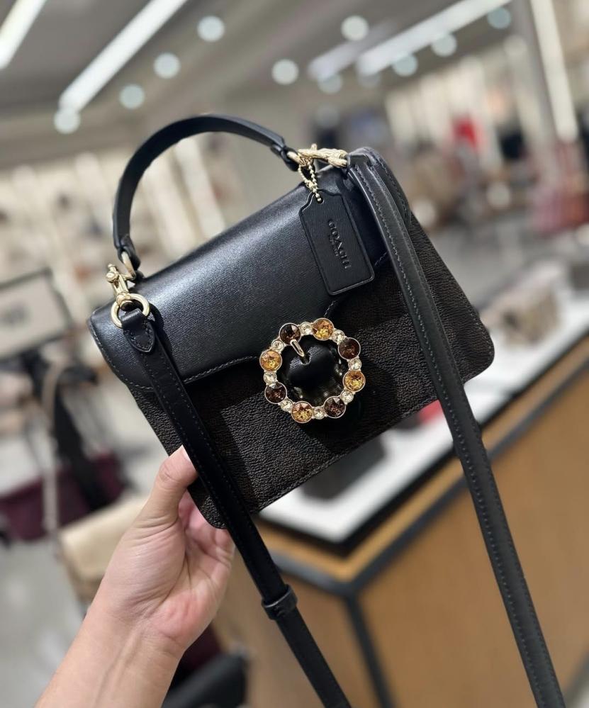 حقيبة COACH