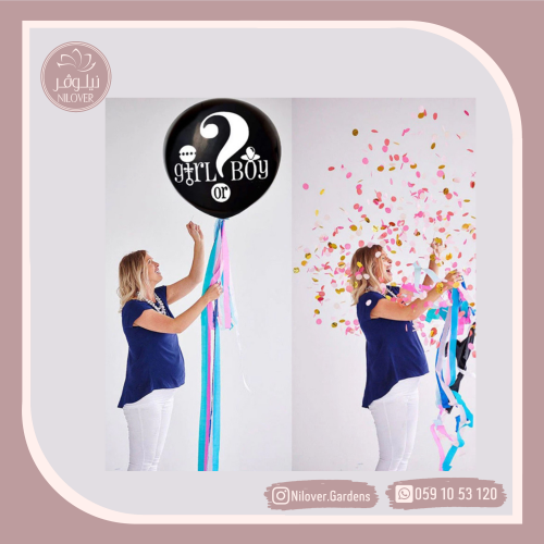 بالون الاخبار عن جنس الجنين 2