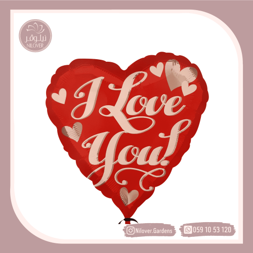 بالون حب 2