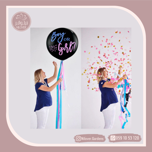 بالون الاخبار عن جنس الجنين 1