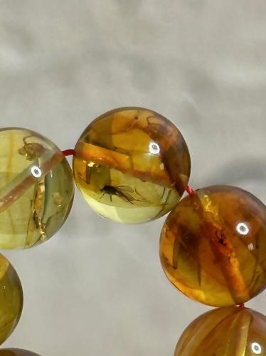 سبحه كهرمان حر حشرات طبيعية