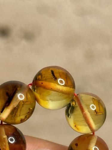 سبحه كهرمان حر حشرات طبيعية