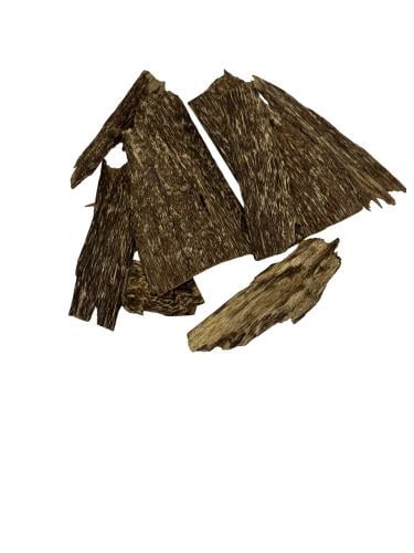 عود سومطري طبيعي