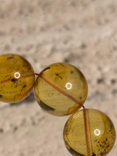 سبحه كهرمان حر حشرات طبيعية