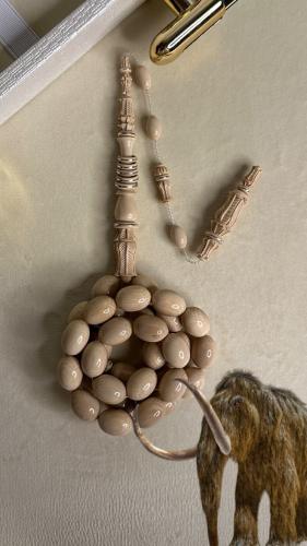 سبحة الماموث المنقرض