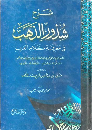 شرح شذور الذهب في معرفة كلام العرب