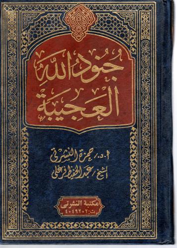 جنود الله العجيبة