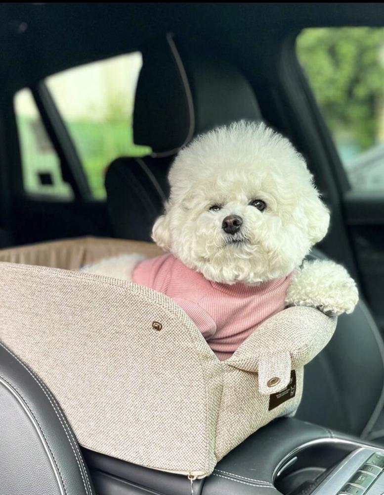 مقعد السيارة للحيوانات الاليفة