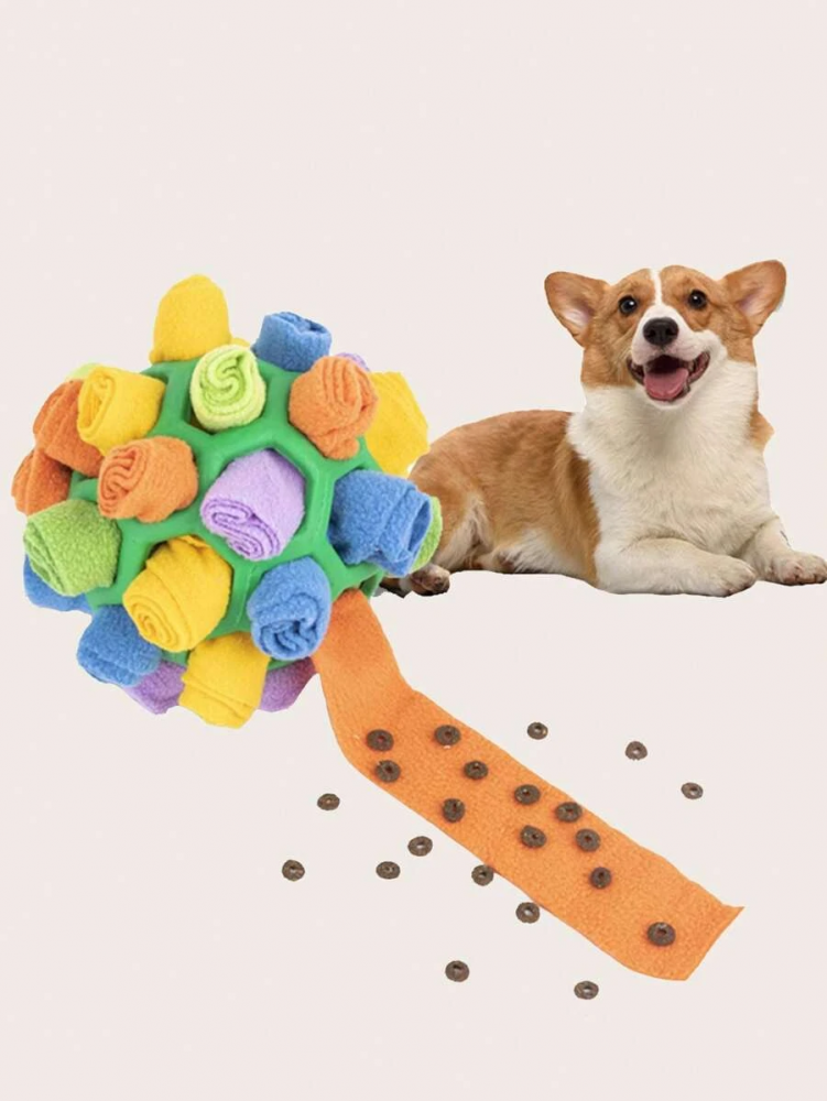 لعبة تمرين شكل كرة - Ball Shaped Training Toy