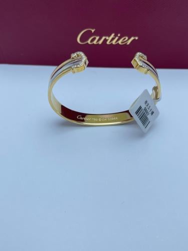 إسورة كارتييه