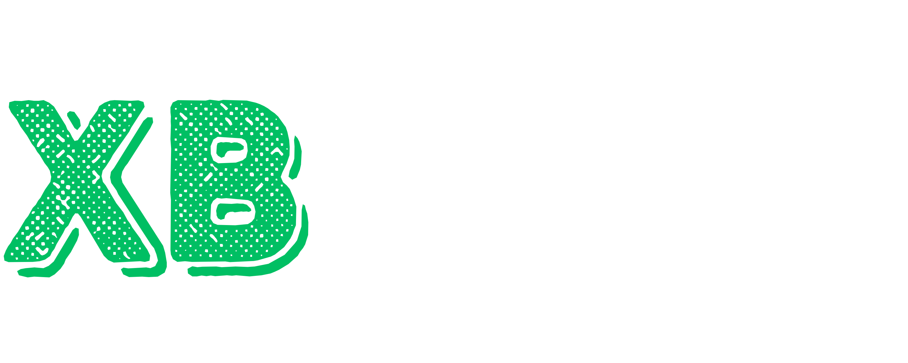 Loading Page