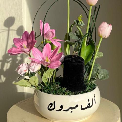 فازة التوليب والليوم