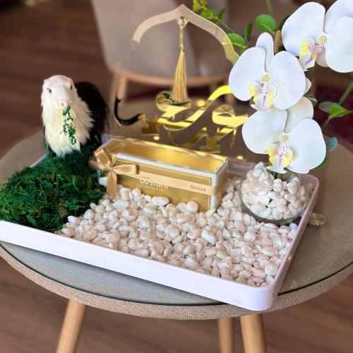 بوكس بستاني