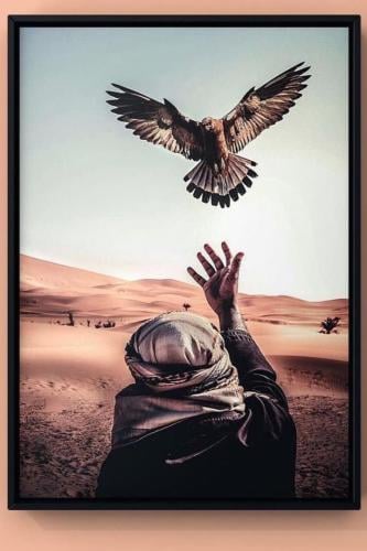 رجل عربي و صقر على قماش كانفاس