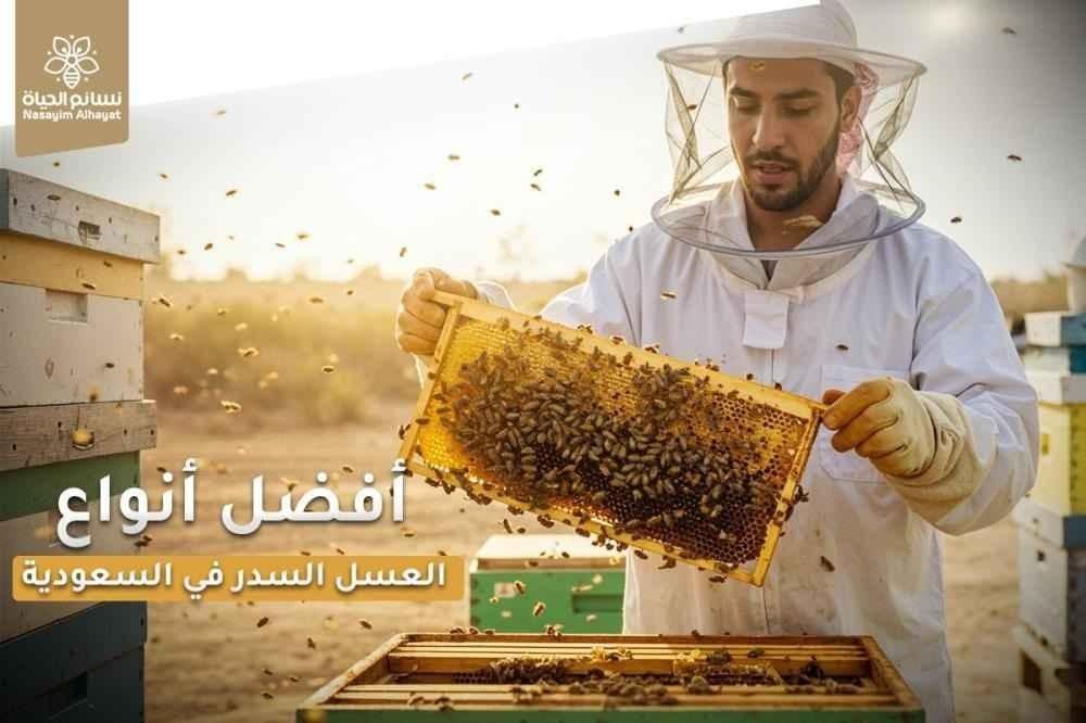 أفضل أنواع العسل السدر في السعودية