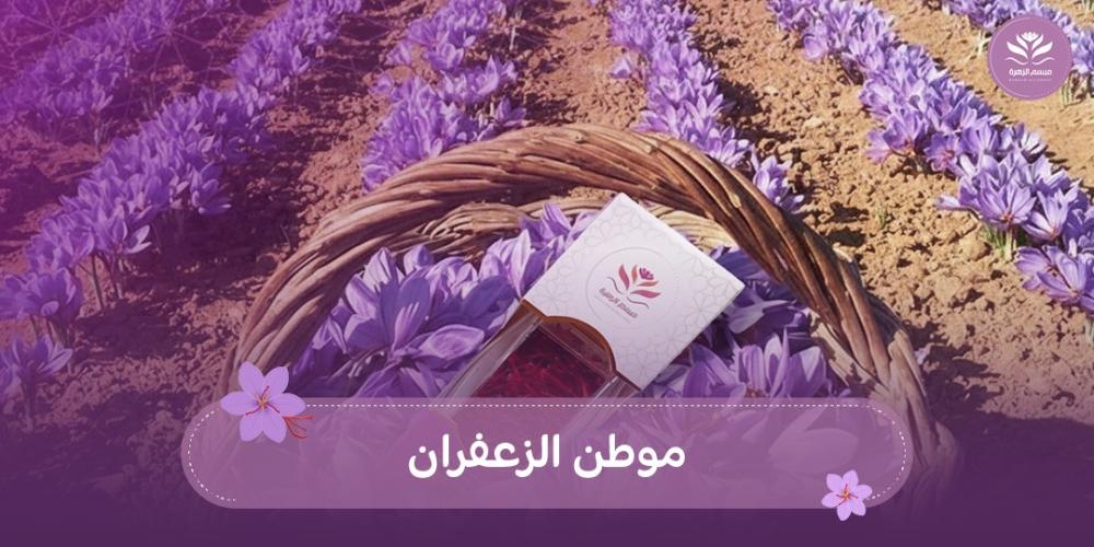 موطن الزعفران