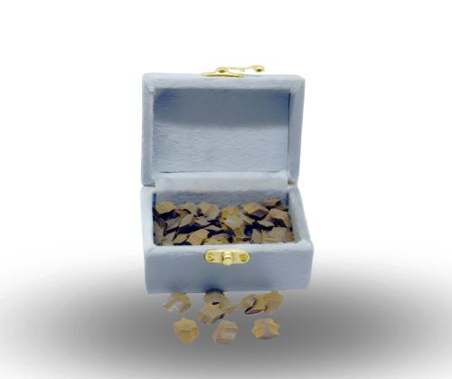 فراشات درجه أولى أوقيتين