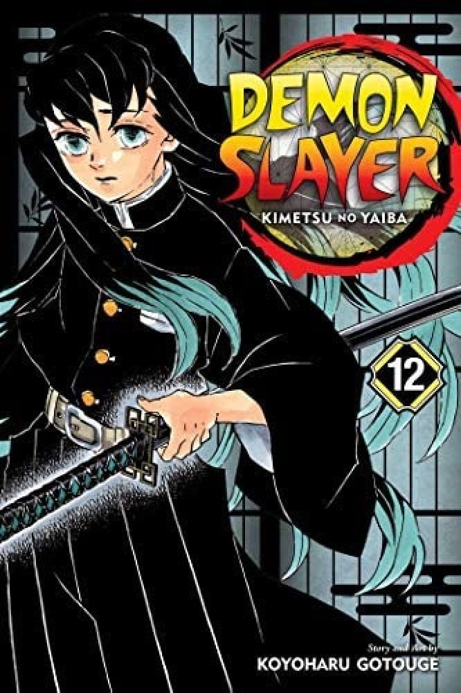 Demon slayer  manga volume 12