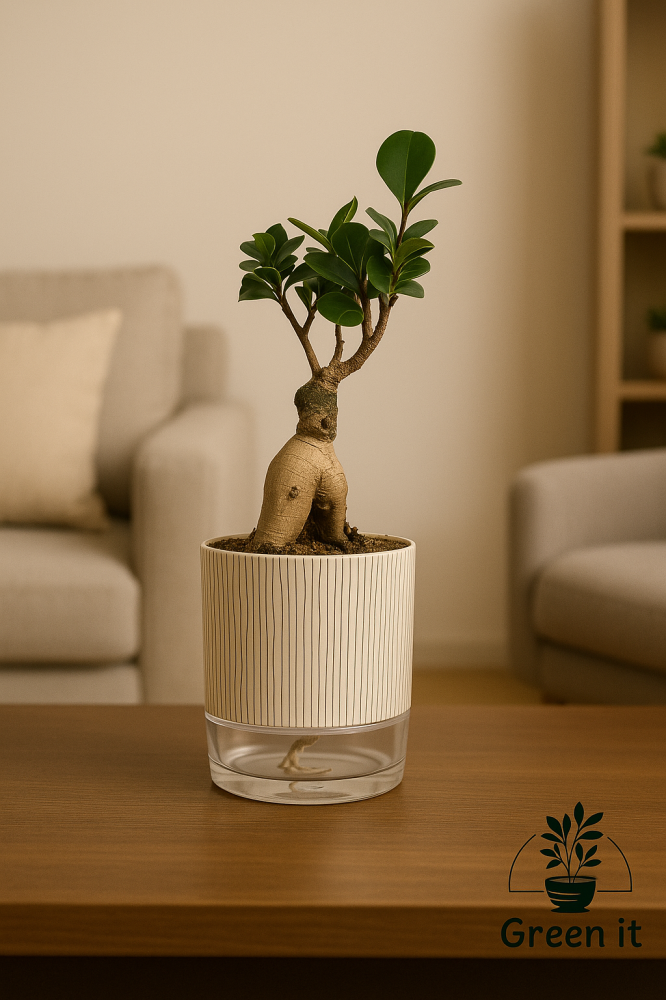 البونساي - ري ذاتي