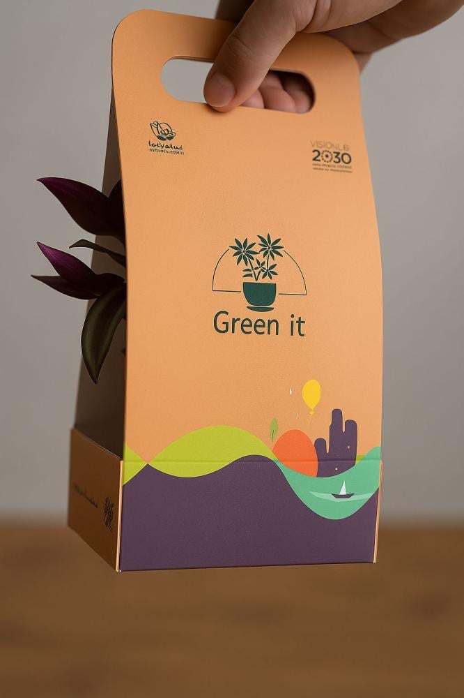 نبتة المكحلة في إناء فخار