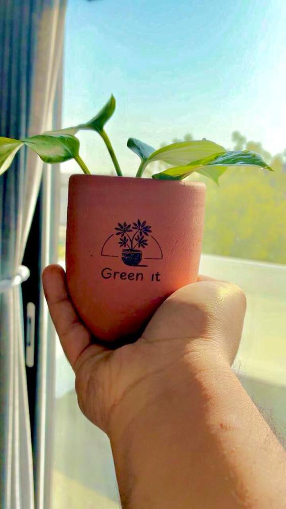 نبتة البوتس