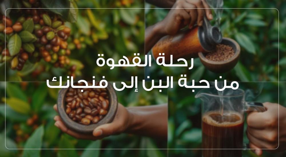 رحلة-القهوة-من-حبة-البن-إلى-فنجانك