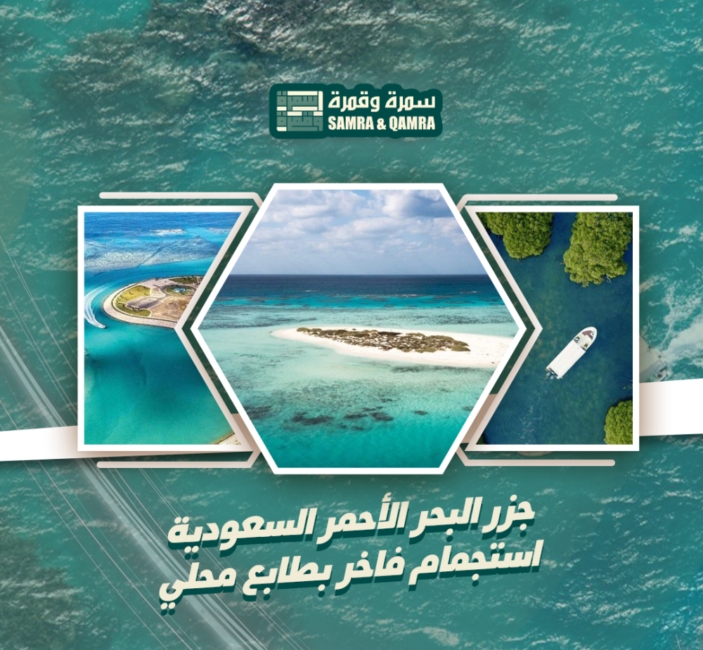 جزر البحر الأحمر السعودية