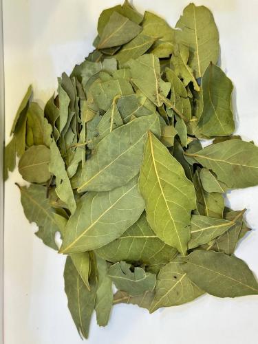 ورق غار سوري